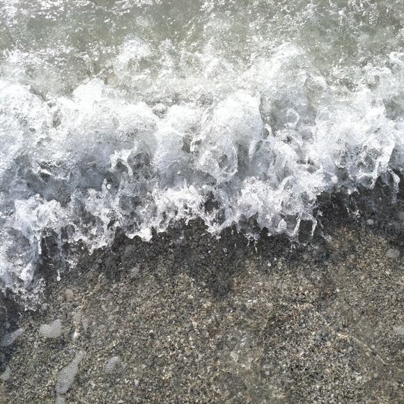 Meet your Posher, Alli - Picture 1 of 1